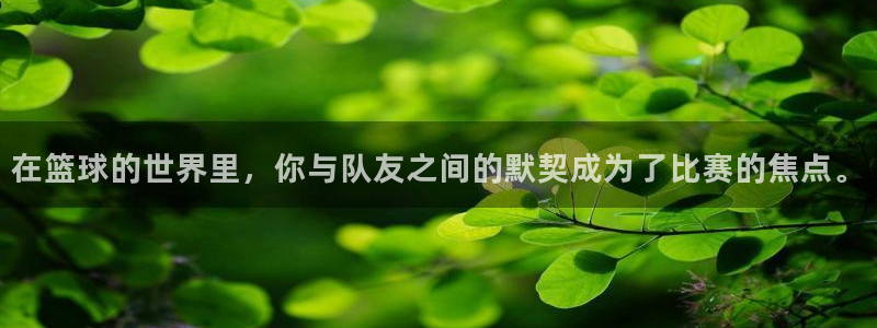 在篮球的世界里，你与队友之间的默契成为了比赛的焦点。