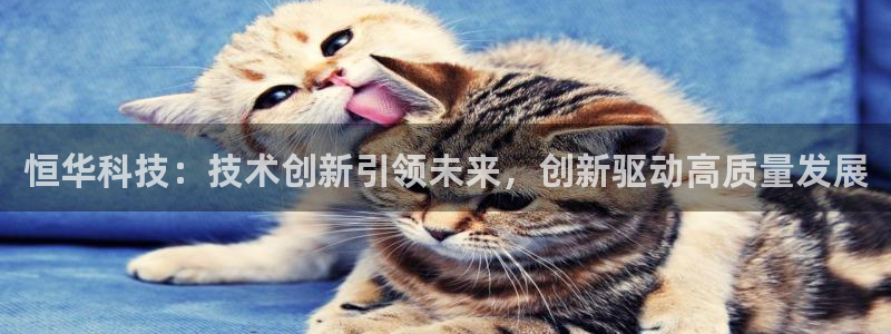 恒华科技：技术创新引领未来，创新驱动高质量发展