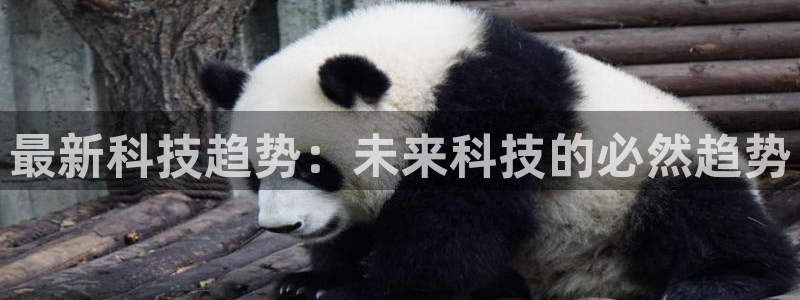 最新科技趋势：未来科技的必然趋势