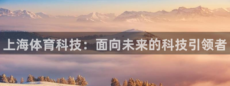 上海体育科技：面向未来的科技引领者
