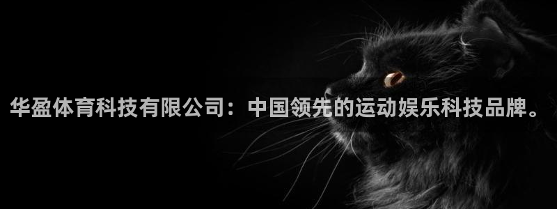 华盈体育科技有限公司：中国领先的运动娱乐科技品牌。
