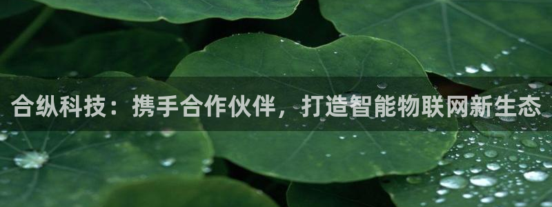 合纵科技：携手合作伙伴，打造智能物联网新生态