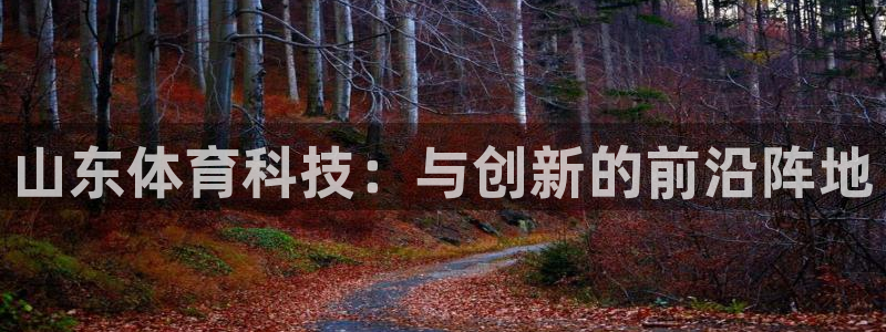 山东体育科技：与创新的前沿阵地