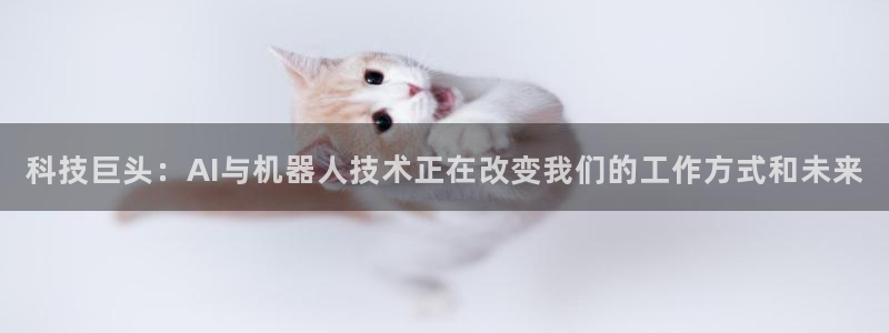 科技巨头：AI与机器人技术正在改变我们的工作方式和未来