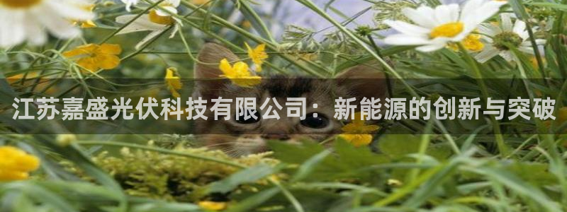 江苏嘉盛光伏科技有限公司：新能源的创新与突破