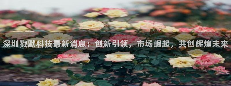 深圳戮默科技最新消息：创新引领，市场崛起，共创辉煌未来