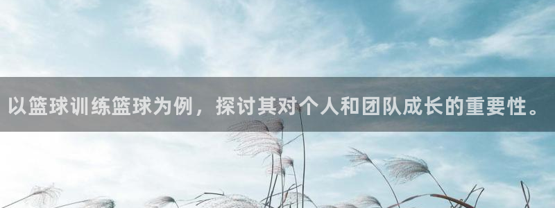 以篮球训练篮球为例，探讨其对个人和团队成长的重要性。