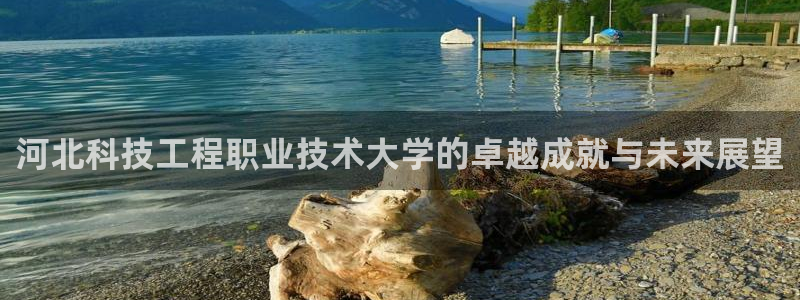 河北科技工程职业技术大学的卓越成就与未来展望